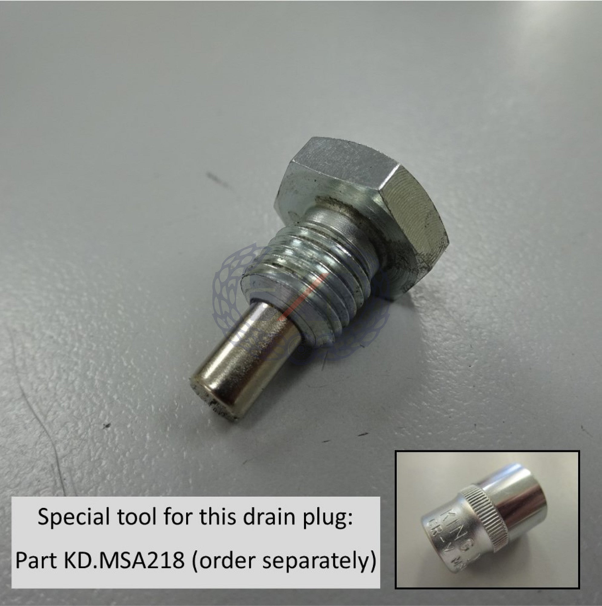 OIL TANK DRAIN PLUG (WITH MAGNET)