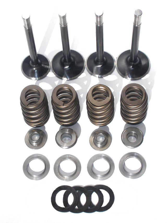 High performance stock size Black Diamond valve & Beehive spring kit - ブラックダイヤモンドバルブ&ビーハイブスプリングキット